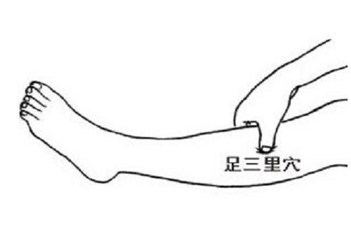 足三里的准确位置图女,足三里的按摩方法