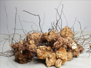 无比加革正确服用方法 男人这样吃可以可以滋补肾脏