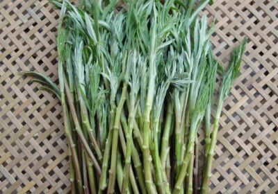 茼蒿和芦蒿有什么区别是什么？