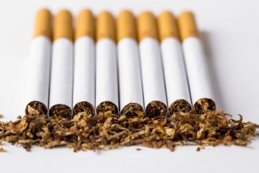 如何保护自己的肝脏?水飞蓟的功效与作用要了解