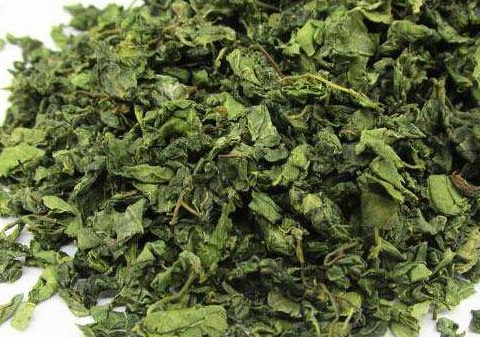 怎样自制酸枣叶茶, 什么人不能喝酸枣叶茶