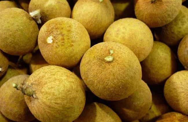 龙眼不能和什么一起吃？龙眼一天吃多少合适？