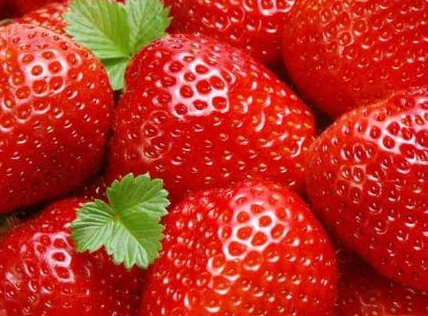 草莓的营养价值及功效与作用