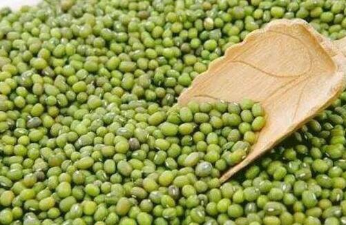 绿豆解百毒是真的吗，绿豆对肝脏的好处