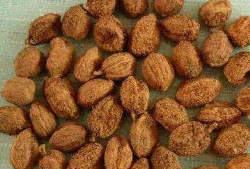 春砂仁的功效与作用及食用方法，春砂仁的禁忌