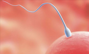 对精液过敏影响怀孕吗 如何预防精液过敏