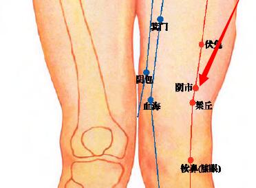 阴市穴怎么找，阴市的准确位置图和作用