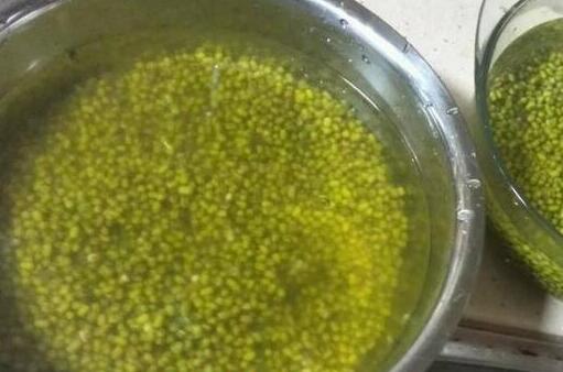 绿豆的副作用，绿豆相克食物有哪些