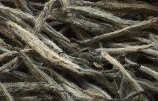 白毫银针茶的功效，用一句话形容白毫银针