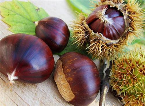 板栗的功效与作用，板栗的食用禁忌