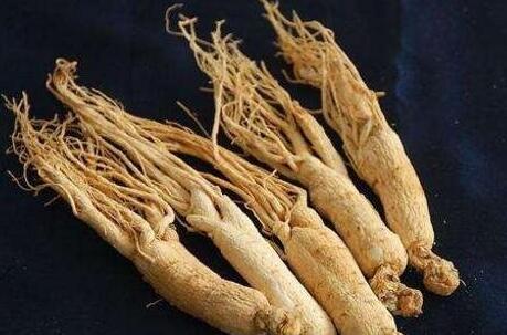 人参不能和什么一起吃， 与人参相克的食物有哪些？