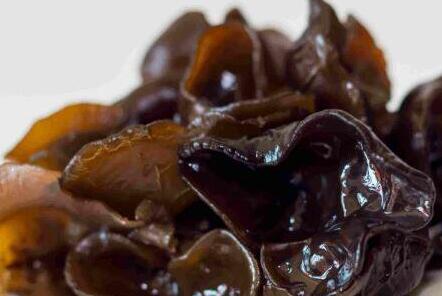 黑木耳不能和什么一起吃，黑木耳的食用禁忌