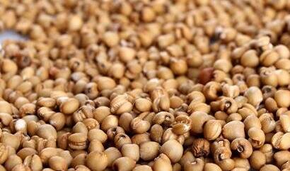 薏仁米的功效与作用及食用方法