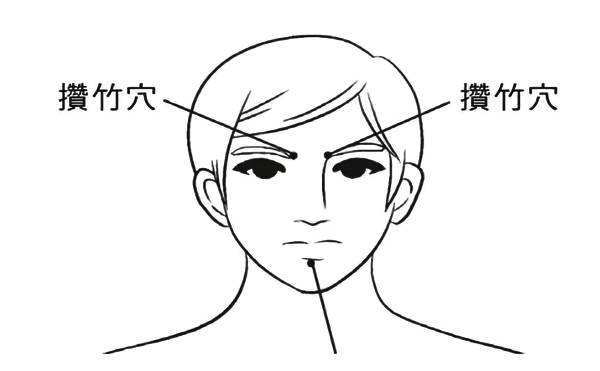 攒竹是读cuan还是zan？攒竹的作用，攒竹的准确位置图片