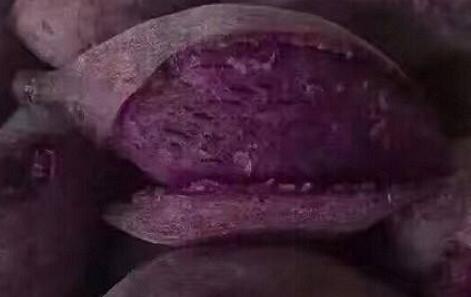 紫薯热量：紫薯的热量高吗，一个紫薯的热量是多少