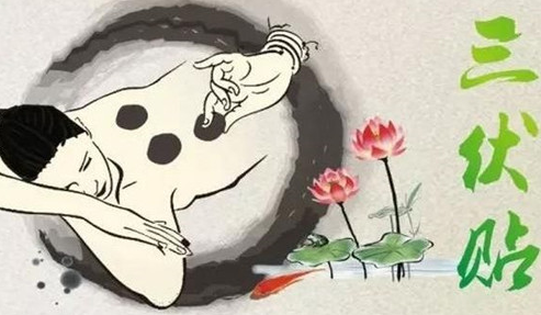 三伏贴是什么，三伏贴的作用功效