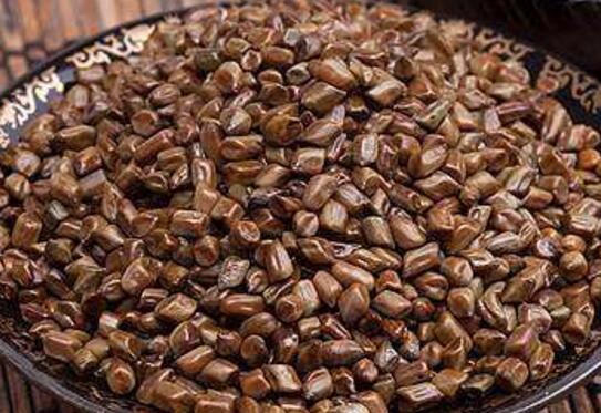 决明子的功效与作用及禁忌