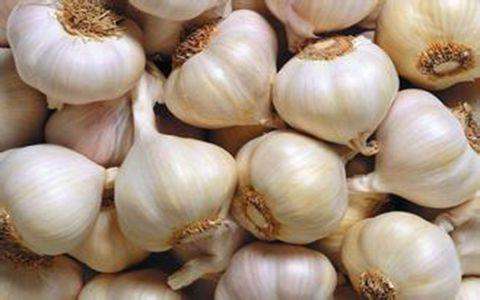 大蒜的功效与作用及禁忌