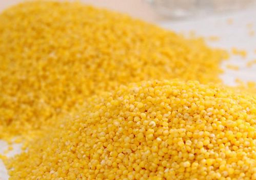 小米粥的功效与作用及禁忌