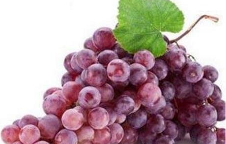 吃葡萄的好处与功效，什么人不适合吃葡萄