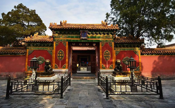 夏季养生，霍山米斛花就够了！