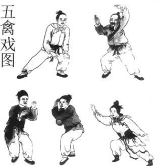 五禽戏是哪五种动物，老年人练五禽戏真的有用吗