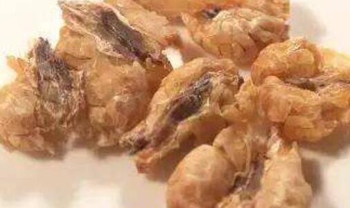 雪蛤的功效与作用及吃法，吃雪蛤的禁忌