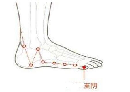至阴是什么意思，至阴的定位和主治
