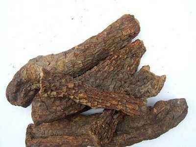 肉苁蓉的功效与作用及禁忌，肉苁蓉三种人不能吃