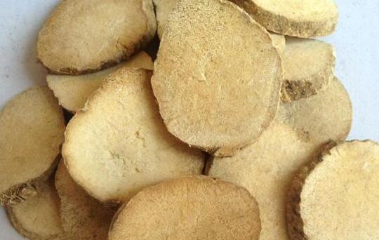 泽泻的功效与作用及禁忌