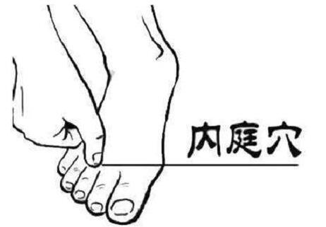 内庭准确位置怎么找,内庭的准确位置图和作用