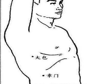 章门的最笨找法，章门怎么简单取准确？