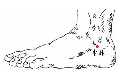 申脉的定位和主治,申脉的准确位置图和作用