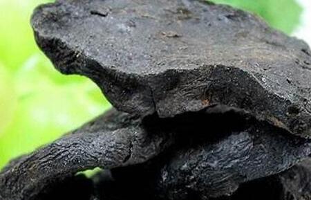 何首乌的功效与作用及食用方法