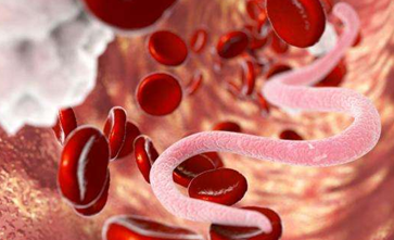 5个坑人的养生知识 食物相克是真的吗