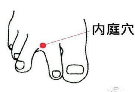 内庭的定位和主治，内庭的准确位置及功效