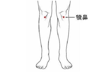 犊鼻怎么读，犊鼻的准确位置图和作用