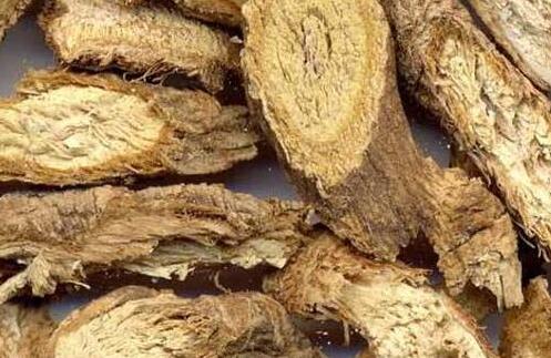 防风什么人不能吃？防风不能和什么中药配？