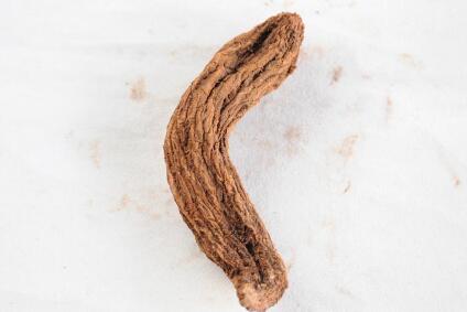 中药锁阳的功效与作用及禁忌