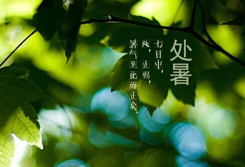 处暑是什么意思呢，处暑节气的含义及特点