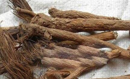 漏芦的副作用有哪些？漏芦主要是治什么病？