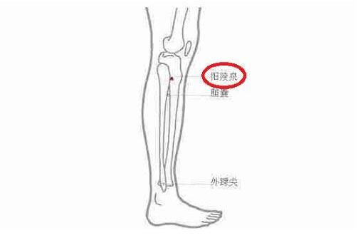 阳陵泉的神奇功效，阳陵泉的作用功能主治