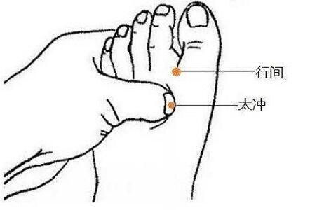 行间定位及功能主治，行间的准确位置图和作用