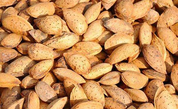 杏仁的功效与作用及禁忌