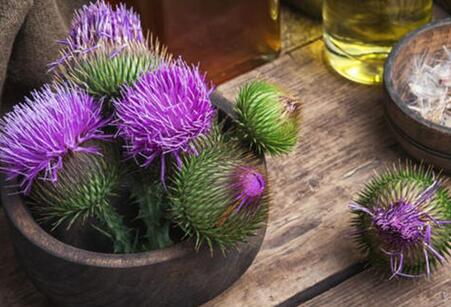 外卖党如何呵护肝健康？水飞蓟的功效要了解