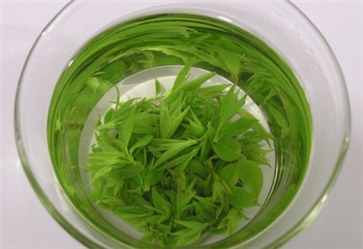 夏季养生需要注意哪些 夏季养生知识大全