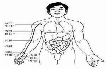 经络养生有什么好处 六大经络养生好处须知道