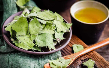 荷叶茶怎么喝才减肥快 这样喝才是减肥正确喝法