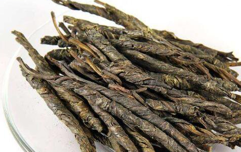 苦丁茶的功效与作用，苦丁茶的图片