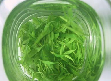 苦丁茶的功效与作用，苦丁茶的图片